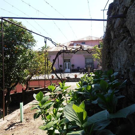 Casa Dos Varais, Manor House Lamego Εξωτερικό φωτογραφία