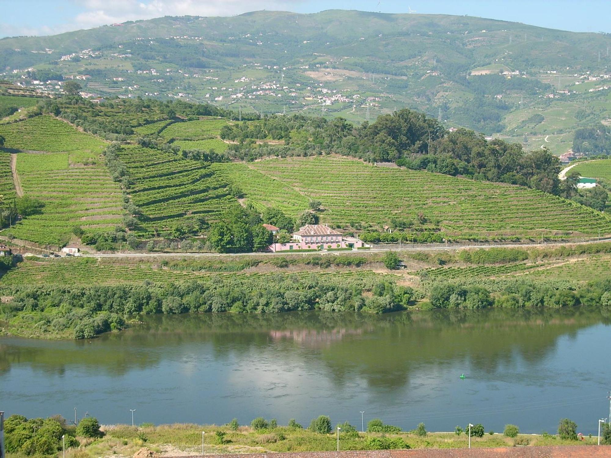 Casa Dos Varais, Manor House Lamego Εξωτερικό φωτογραφία