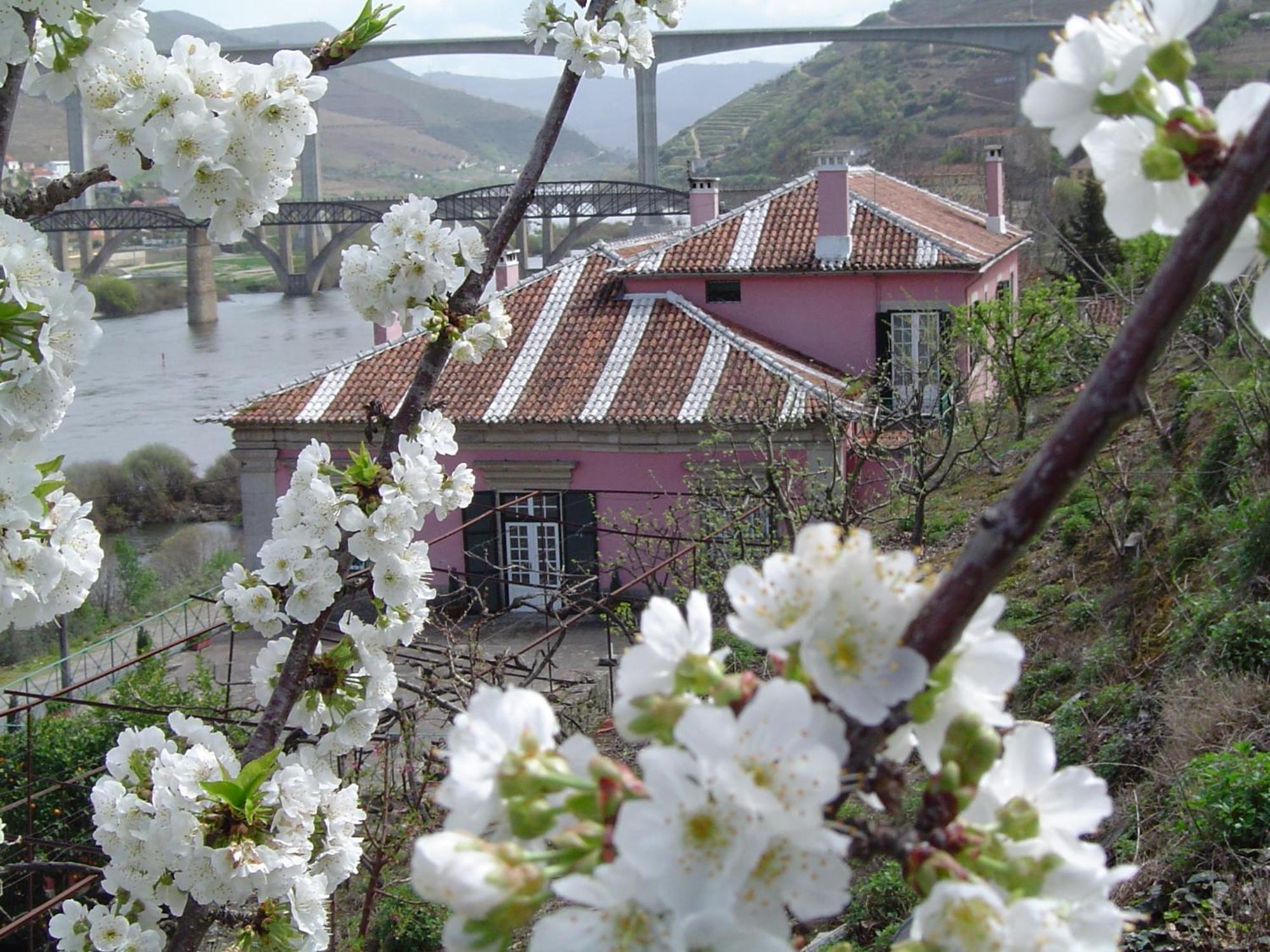 Casa Dos Varais, Manor House Lamego Εξωτερικό φωτογραφία