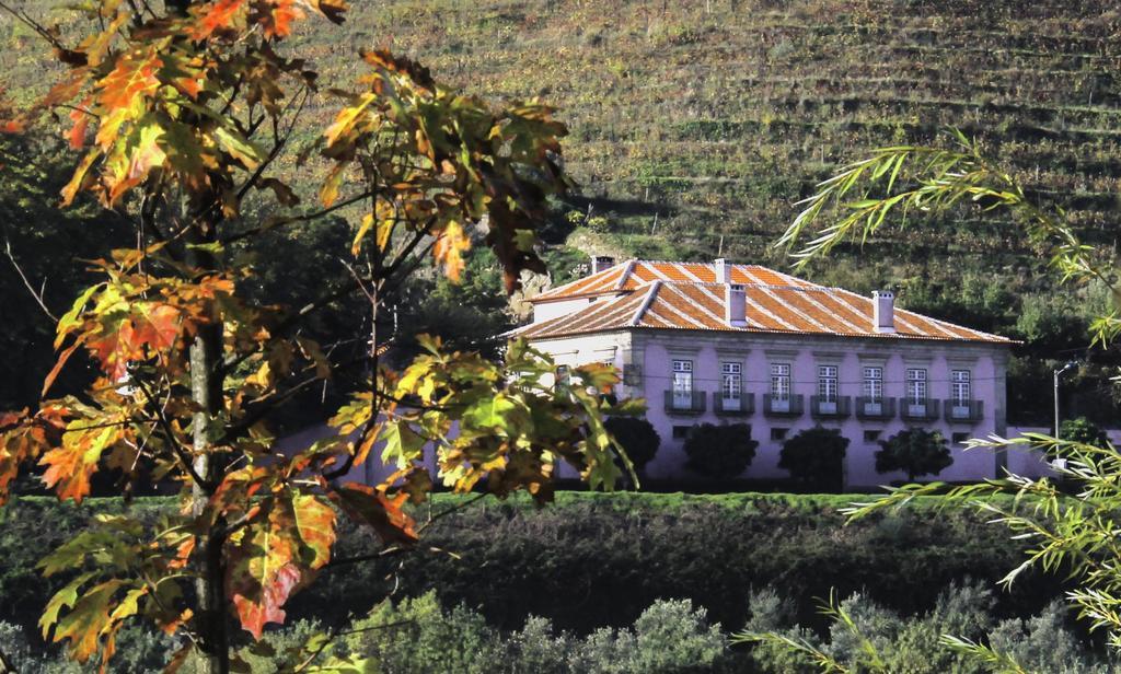 Casa Dos Varais, Manor House Lamego Εξωτερικό φωτογραφία
